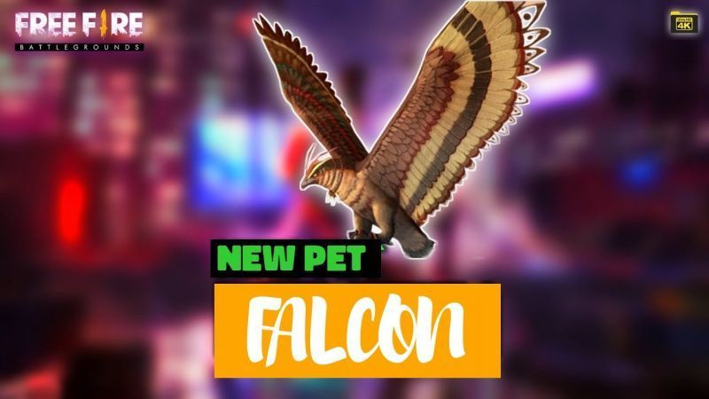 A look at Falcon, a new pet in Free Fire
