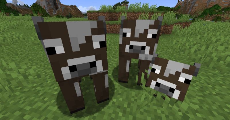 Two cows and a calf in Minecraft. (Image via Minecraft)