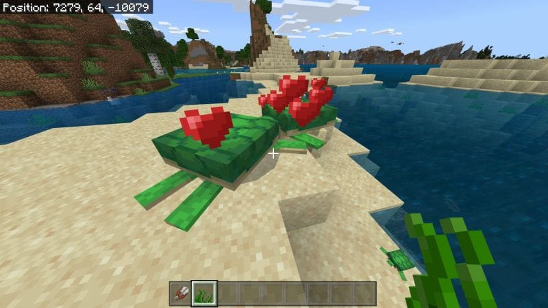 Minecraft Turtle: Spawning, Behavior and where to find them