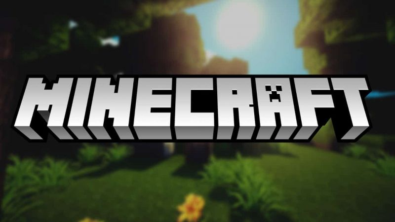 Players using cracked Minecraft cannot join regular servers (Image via Rio Softs)