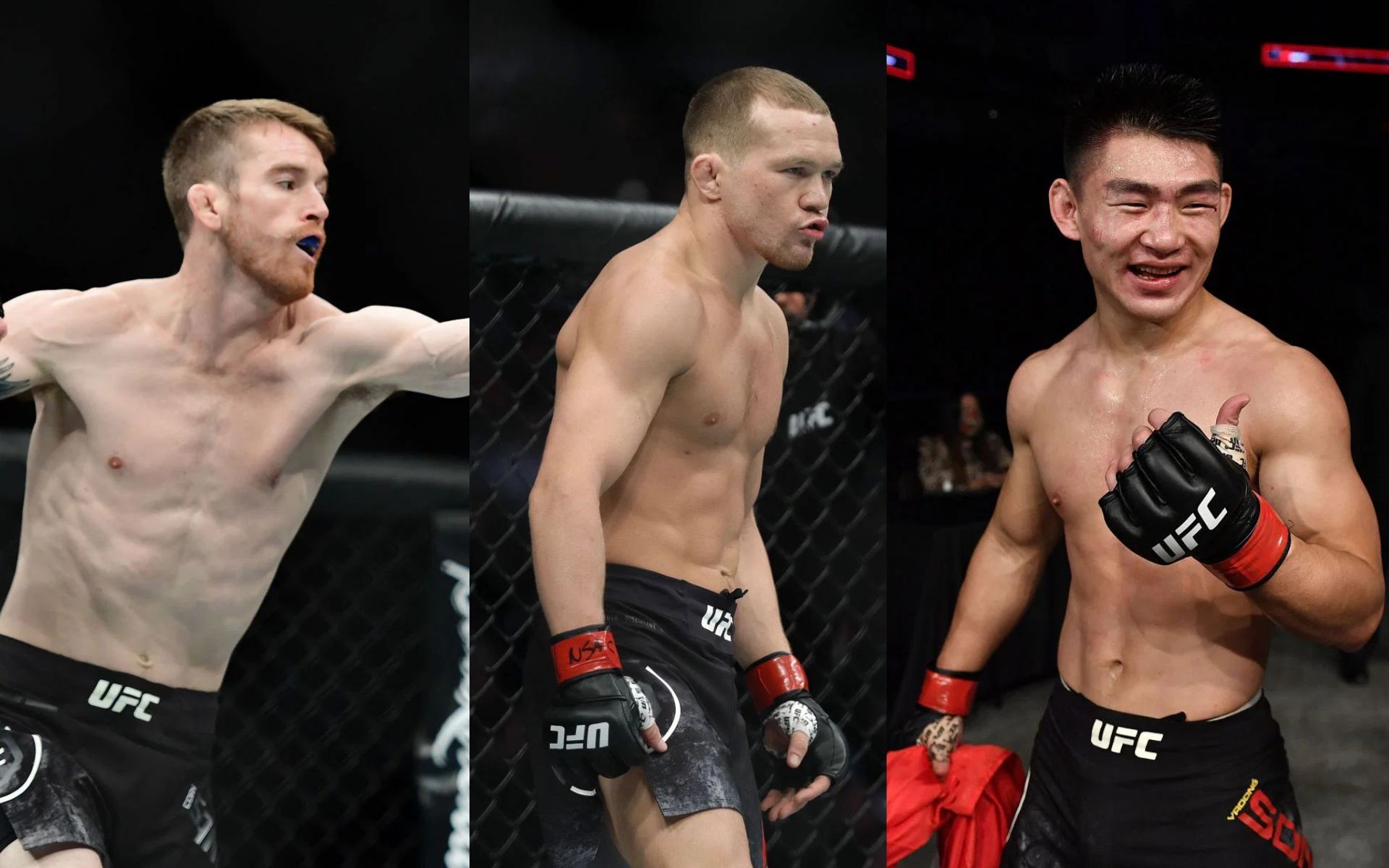 Cory Sandhagen (left), Petr Yan (middle) and Song Yadong (right) 