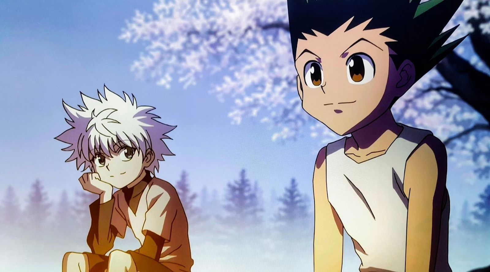 How many episodes of Hunter x Hunter are there? - How Many Episode Of Hunter X Hunter Are There