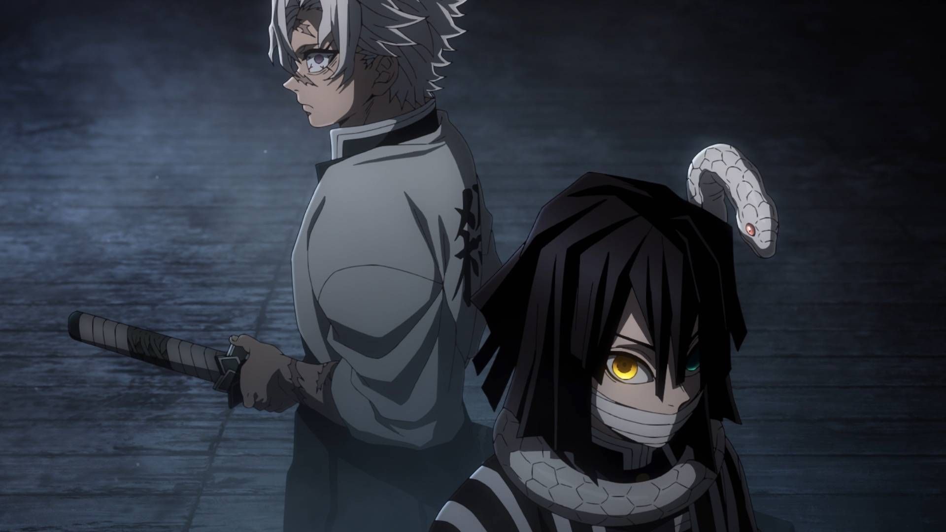 Demon Slayer Hashira Training Arc episode 1 (Image via Ufotable)