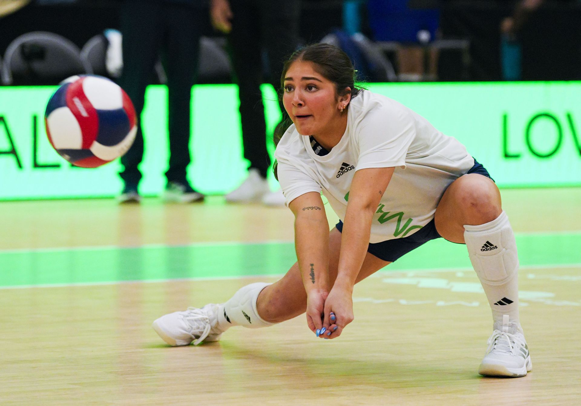 Rodriguez in action for LOVB Omaha (Image Source: Getty)