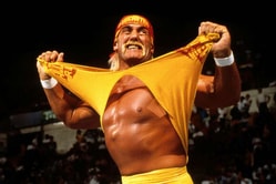 Hulk Hogan net worth and salary